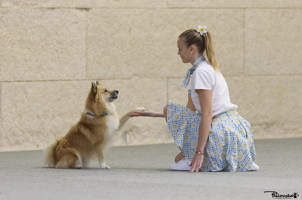 Chien qui danse avec une belle relation avec son humain