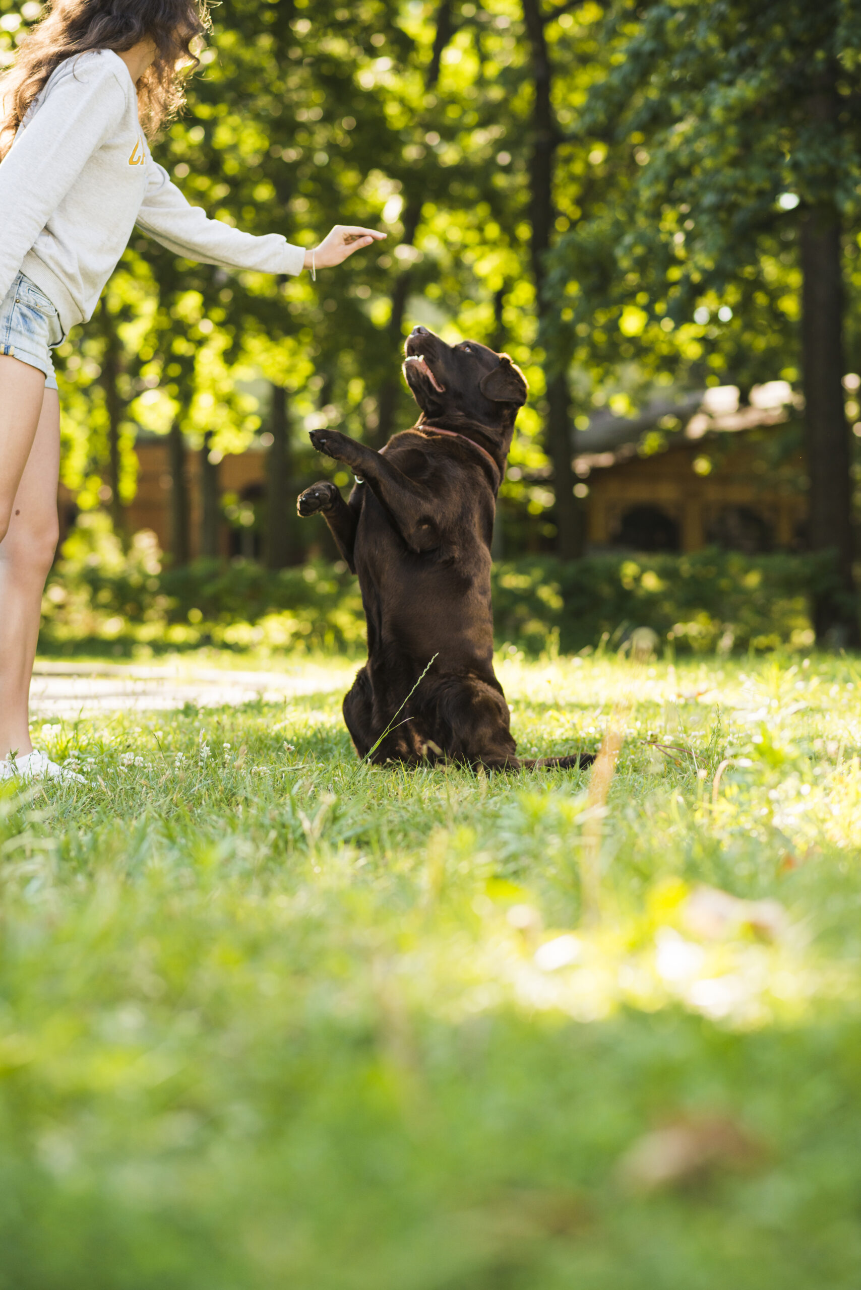woman-playing-with-her-dog-park